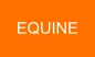 EQUINE