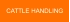 CATTLE HANDLING