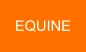 EQUINE