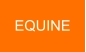 EQUINE