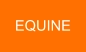 EQUINE