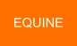 EQUINE
