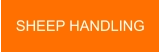 SHEEP HANDLING