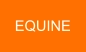 EQUINE