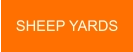 SHEEP YARDS